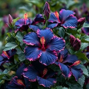 Гибискус Голден Глоу купить по цене от 259р. в интернет-магазине «Посадика» с доставкой почтой в в Валдайе и по всей России – [изображение №1].