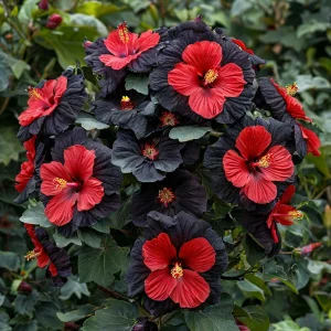 Гибискус Шиммеринг купить по цене от 720р. в интернет-магазине «Посадика» с доставкой почтой в в Валдайе и по всей России – [изображение №1].